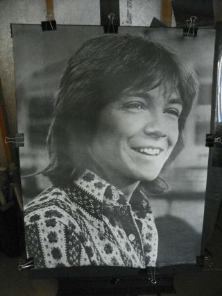 Vintage Poster " David Cassidy " Smiling Personality Posters 1971 29x40