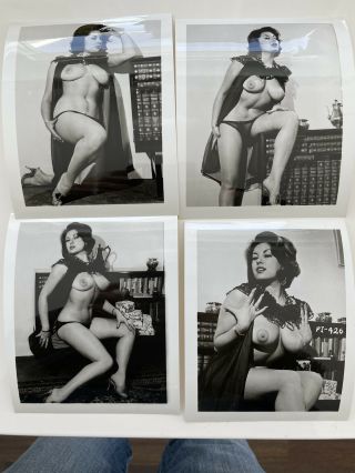 Vintage June Palmer (?) 4 Glossy Prints - Pinup Busty Model 1950 - 60’s