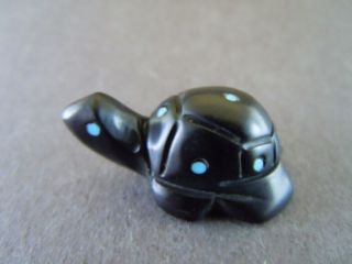 Jet Black High Dome Zuni Spotted Baby Turtle Fetish Carving Emery Boone 51