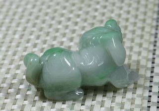 Cert ' d Green 100 Natural A JADE jadeite SMALL Statue Sculpture Dog 狗 981121 2