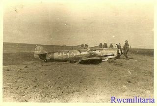 Org.  Photo: US Troops in Field by Shot Down Luftwaffe Me - 109 Fighter Plane 2