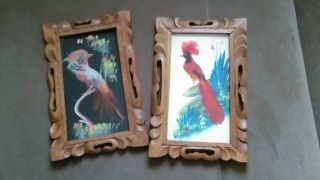 Vintage Set Of 2 - Hand Carved Wood Frames Bird Pictures W/real Feathers Mexico