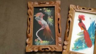 VINTAGE SET OF 2 - HAND CARVED WOOD FRAMES BIRD PICTURES W/REAL FEATHERS MEXICO 2