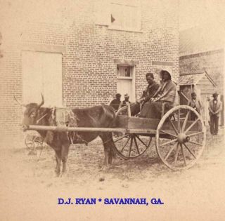 Savannah,  Ox,  & Cart And Afro American Driver,  The Mode Of Travel.  D.  J.  Ryan,  Ga