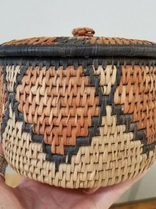 Vintage Papago Basket W/lid Native American Indian