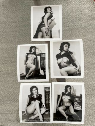 Vintage June Palmer (?) 5 Glossy Prints - Pinup Busty Model 1950 - 60’s 4x5