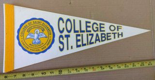 Vintage College Of St Elizabeth Convent Station Nj Felt Pennant 17.  5 " {cm474}