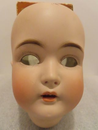 Antique J.  D.  Kestner Bisque Girl Head Doll Germany 14 1/2 Mold 171.  8 " Tall
