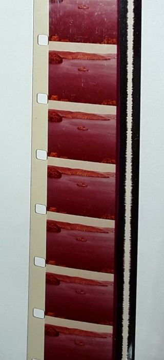 Vintage 16mm Walt Disney Color Film Incredible Journey Faded Color