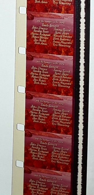 Vintage 16mm Walt Disney Color Film Incredible Journey faded color 3