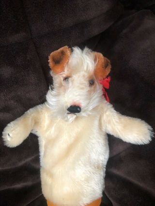 Vintage 1950s Steiff Mohair “foxy” Fox Terrier Dog Hand Puppet Toy