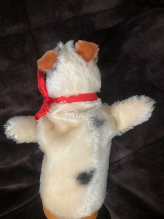 Vintage 1950s Steiff Mohair “Foxy” Fox Terrier Dog Hand Puppet Toy 2