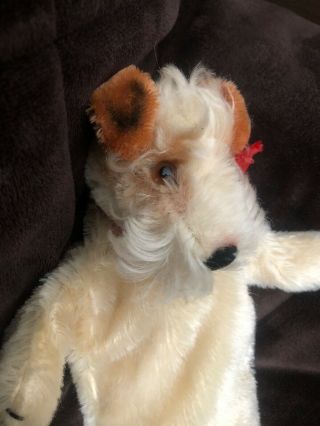 Vintage 1950s Steiff Mohair “Foxy” Fox Terrier Dog Hand Puppet Toy 3