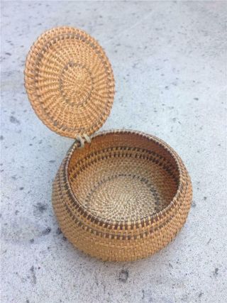Small Antique 5 " Native American Indian Basket With Lid