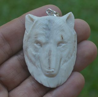 Wolf Head Carving 49x35mm Pendant P3680 W/ Silver In Antler Hand Carved
