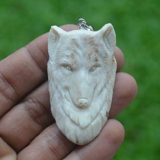 Wolf Head Carving 55x32mm Pendant P5068 W/ Silver In Antler Hand Carved