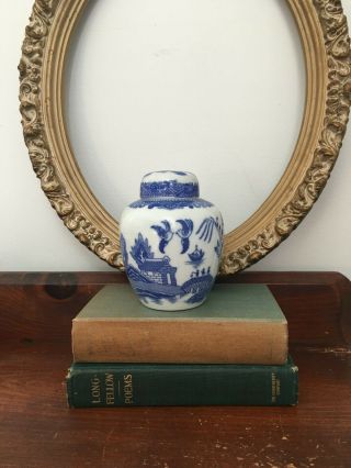Chinese Ginger Jar,  Blue And White,  Ceramic,  Decorative
