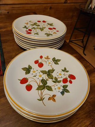 Set Of 11 Vintage Sheffield Dinner Plates Strawberries And Cream - 10 In Plate