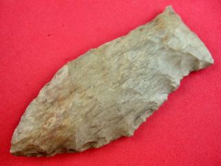 Indian Artifact 3 1/4 inch Tennessee Beaver Lake Point Indian Arrowheads 3