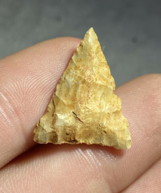 Authentic Triangle Point Arrowhead / Madison County Illinois / Qcy511
