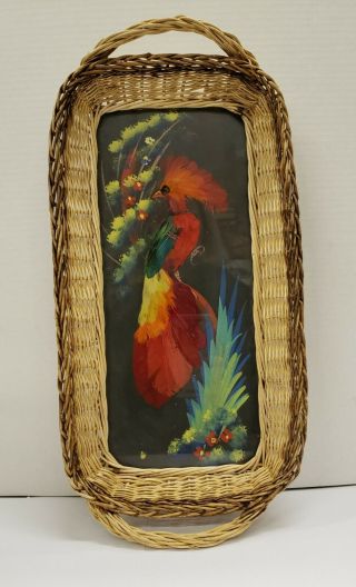 Vintage Mexican Wall Art Bird Picture With Real Feathers In Wicker Tray Frame
