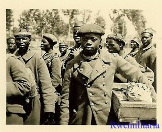 Not Our Fight German View Group Captured Black French African Colonial Pow 