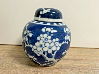 Chinese Blue And White Prunus Ginger Jar Kangxi Double Circle