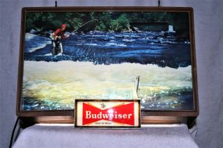 Vintage Museum Quality 1950s Budweiser Beer Lighted Sign Trout Fly Fishing