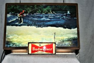 Vintage MUSEUM QUALITY 1950s Budweiser Beer Lighted Sign Trout Fly Fishing 4