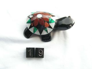 Turtle Obsidian Stone Abalone Shell.