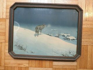 Vintage Art Print Titled The Lone Wolf Titled By A.  Kowalsky