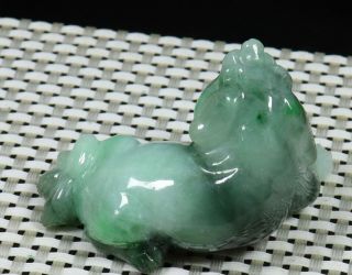 Cert ' d Green 100 Natural A JADE jadeite SMALL Statue Dog 狗 小雕像 991630 2