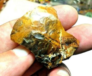1 5/8” Colorado Black Forest Petrified Wood Scraper Indian Arrowheads Artifacts