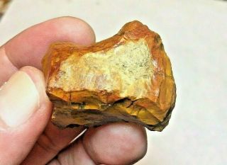 1 5/8” Colorado Black Forest Petrified Wood Scraper Indian Arrowheads Artifacts 2