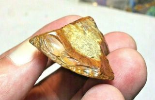 1 5/8” Colorado Black Forest Petrified Wood Scraper Indian Arrowheads Artifacts 3