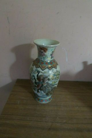 Vintage Chinese Oriental Porcelain Vase with Bird Peacock Motif,  8 