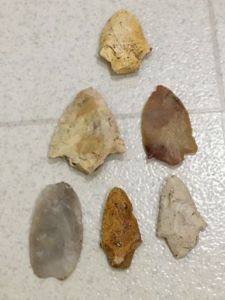 Authentic Florida Arrowheads Deep South Artifacts Field Points