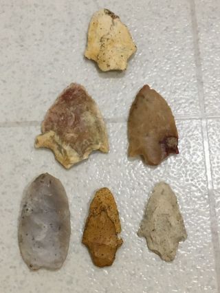 Authentic Florida Arrowheads Deep South Artifacts Field Points 2