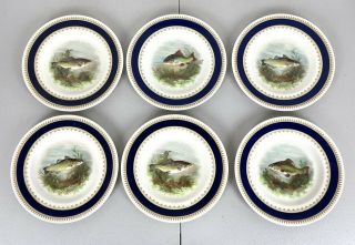Set Of 6 X Vintage Wood & Sons Sherborne Fish Plates W.  Cobalt Blue Borders