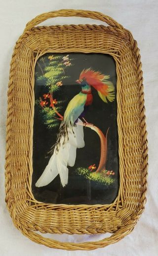 Vintage Folk Art Feather Bird Picture Wicker Framed Tray Made Mexico Wall Art