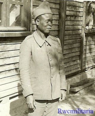 Not My Fight German View Of Captured Black French African Colonial Pow (1)