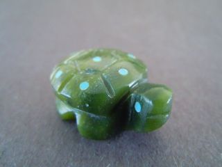Green Zuni Spotted Baby Turtle Hatchling Fetish Carving Terrence Martza 71