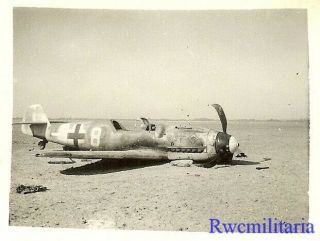 Org.  Photo: Shot Down Luftwaffe JG.  53 Me - 109 Fighter Plane; North Africa 2