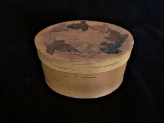 Handmade Birch Bark Oval Box /w Pressed Leaves Storage Container - 4 " - Canada