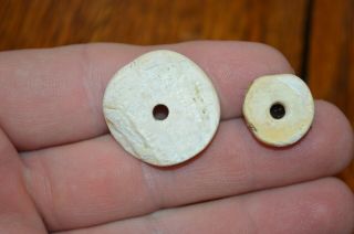 Drilled Mississippian Shell Beads Dunklin Co Missouri 1 &.  5/8 Well Made