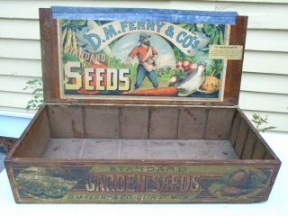 Graphic Old Wood Country Store Display Box Advertising D M Ferry Seeds