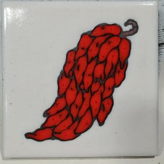 Cleo Teissedre Hand Painted Tile Coaster Southwest Ceramic Wall Hanging Decor