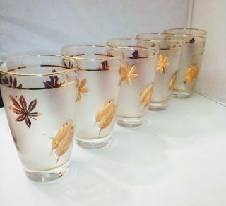 5 Vintage Mid Century Libbey Gold Leaf Frosted Beverage/bar Glasses 12 Oz.