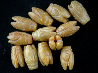 12pics Special Chinese Jade Hand Carved Cicada Beads M103