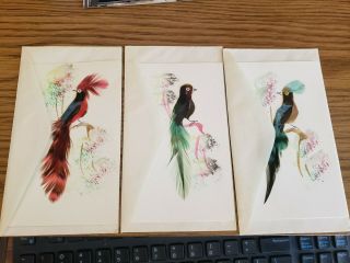 3 Vintage Hand Painted Bird Art With Real Feathers Note Cards